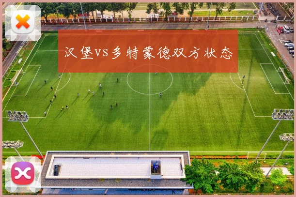 汉堡vs多特蒙德双方状态